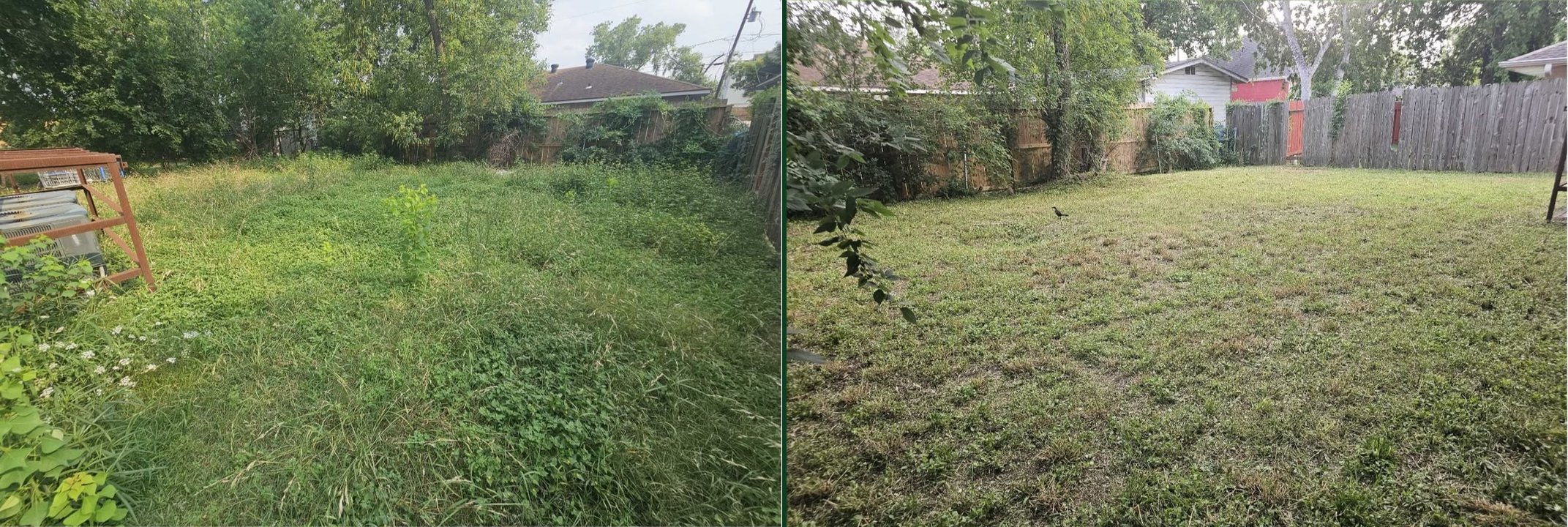 Lawn Renovation — Adderley's Landscaping Maintenance